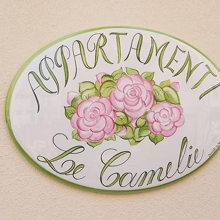 Le Camelie -Appartamenti Nuovi Порто-Сант'Эльпидио Экстерьер фото